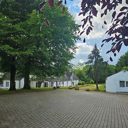 Trandafir Guesthouse Egtved Bagian luar foto
