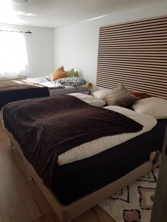 Trandafir Guesthouse Egtved Bagian luar foto